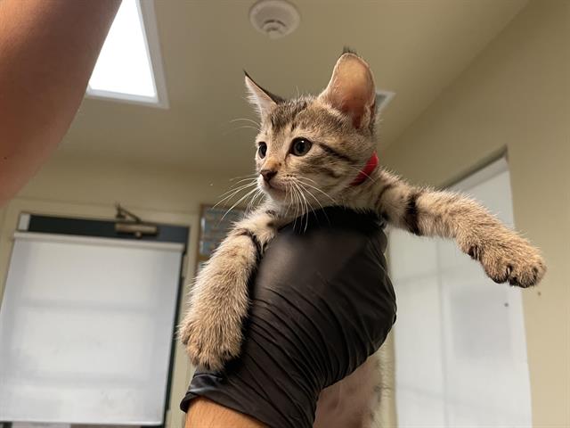 No Name