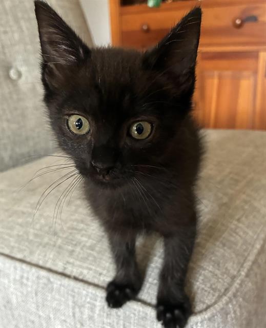 Kiki