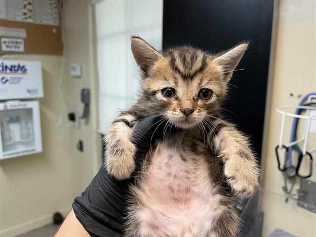 No Name