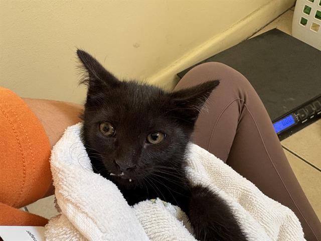 No Name