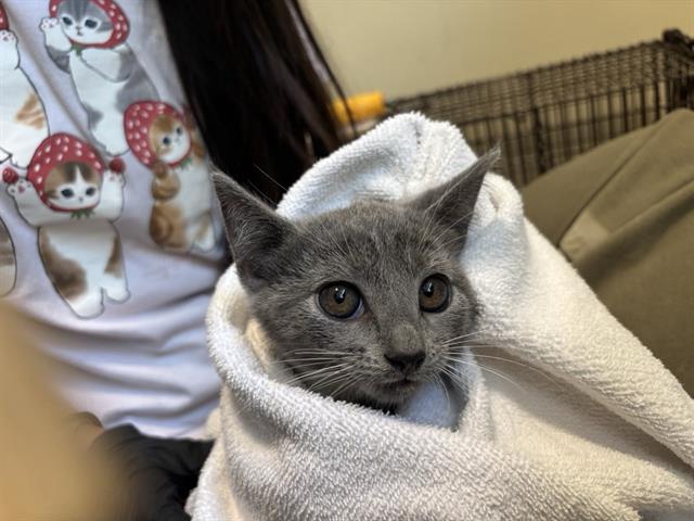 No Name