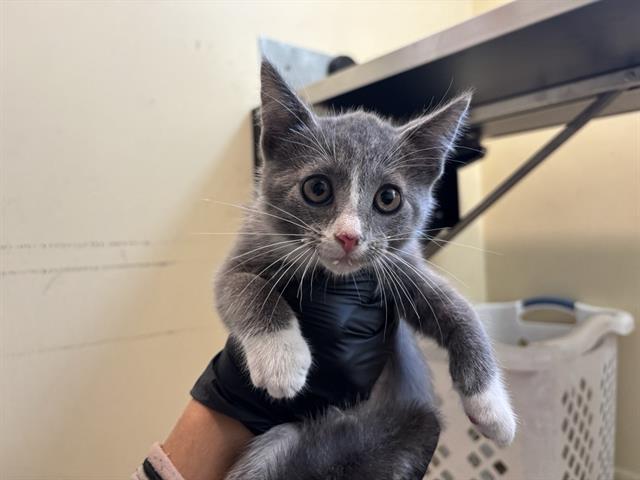 No Name