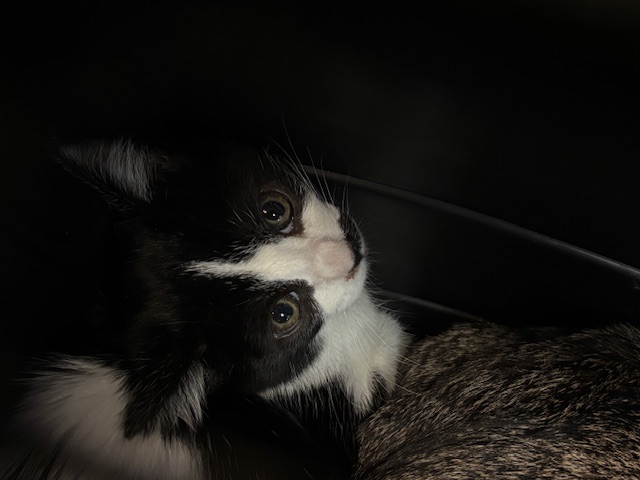 No Name