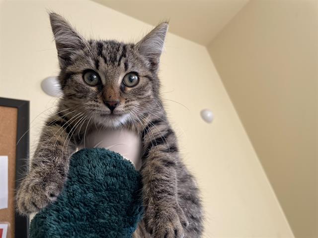 No Name