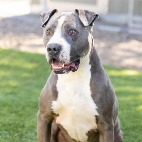 Cash - A841765