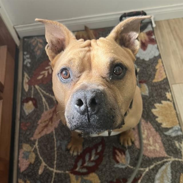 Chili