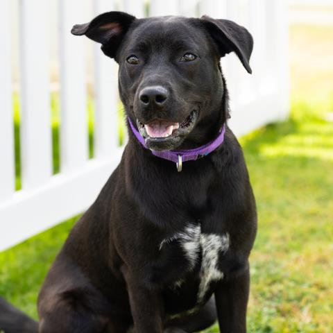 Jasmine - A879248