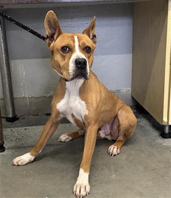 Franklin - A880698