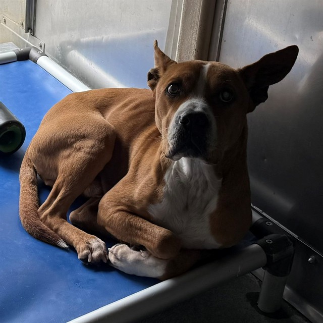 Franklin - A880698