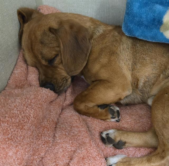 No Name - A881128
