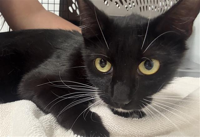 No Name - A881153