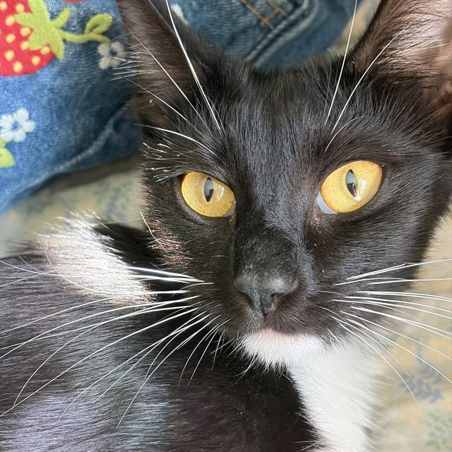 Brynn - A881153