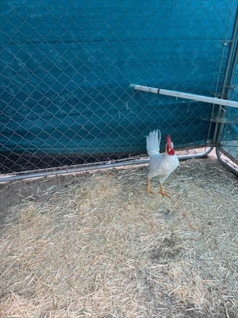 No Name - A881332