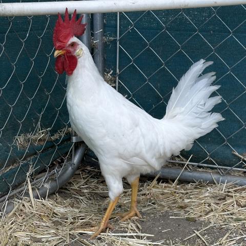 No Name - A881333