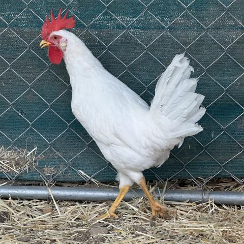 No Name - A881334