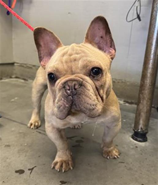 No Name - A881432