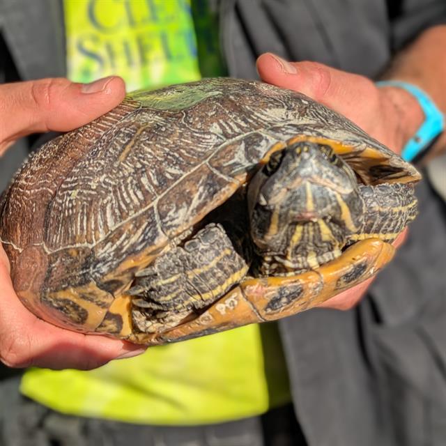 No Name - A881443