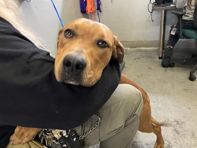 No Name - A881612