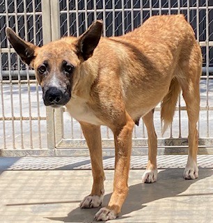 Helga - A881626