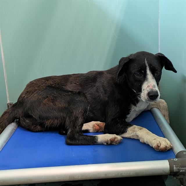 No Name - A881627