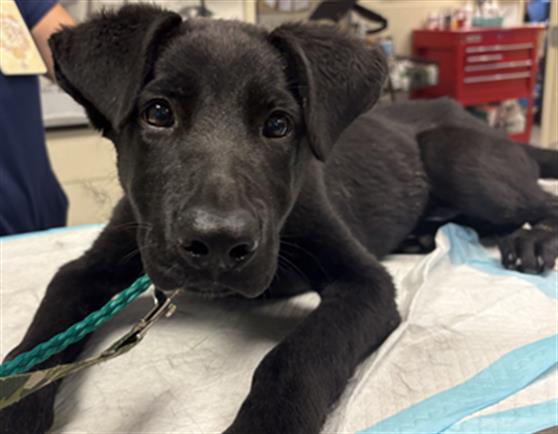No Name - A881672