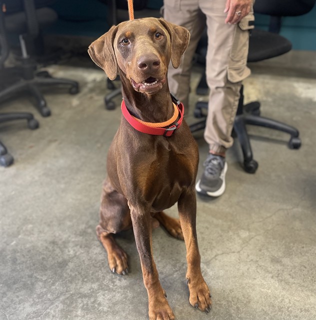 Franklin - A881673
