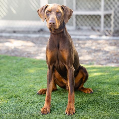 Franklin - A881673