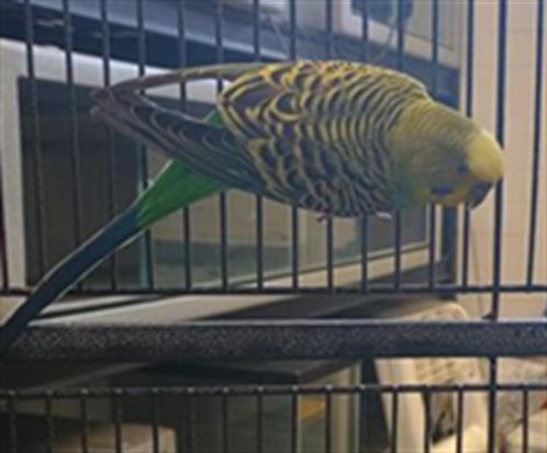 No Name - A881705