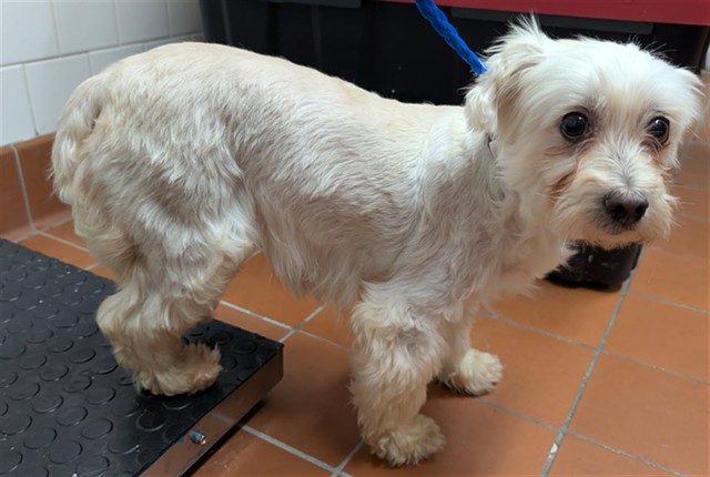 No Name - A881789