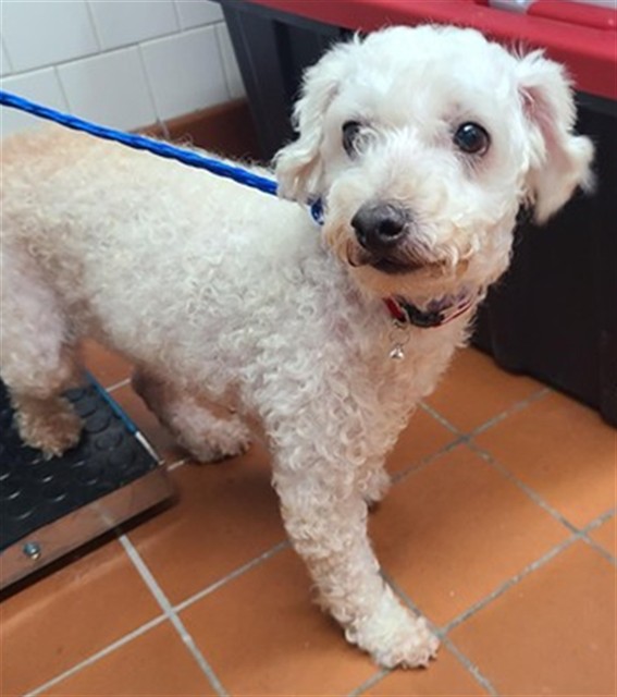 No Name - A881790