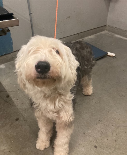 No Name - A881815