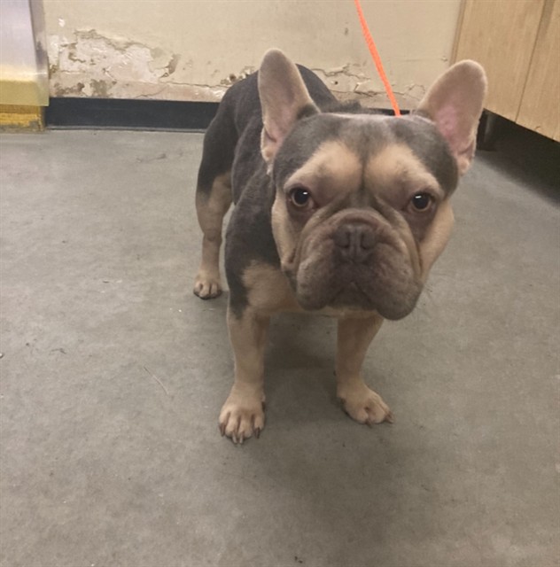 No Name - A881817