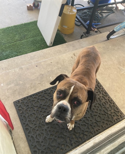 No Name - A881857