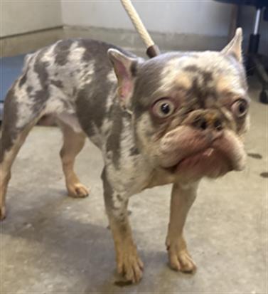 No Name - A881858