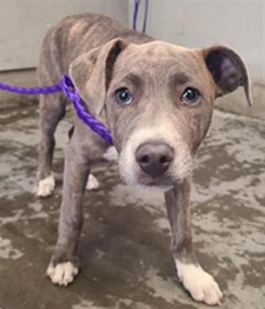 No Name - A882051