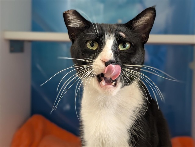 No Name - A882838