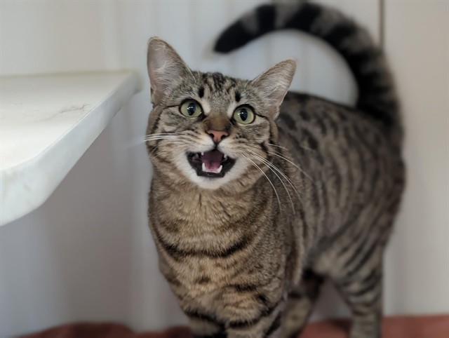 Gabrielle - A883122