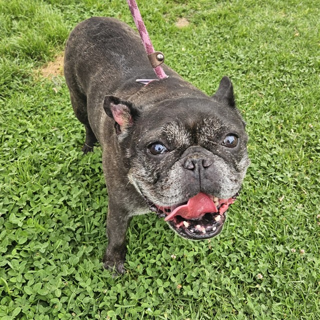 Maria - A883137