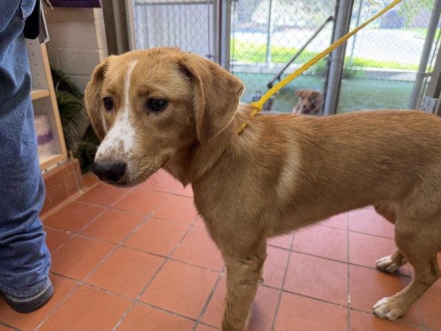 No Name - A883199