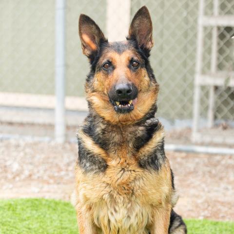 No Name - A883258