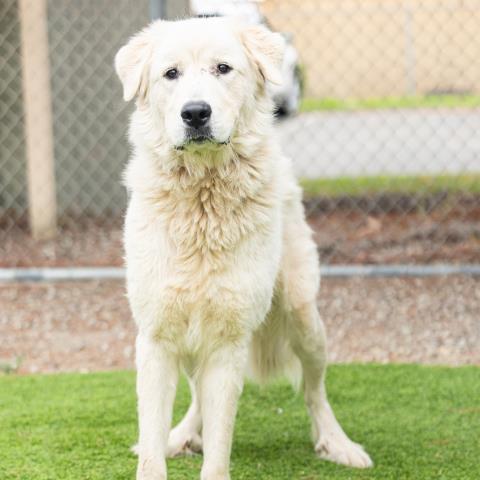 No Name - A883293