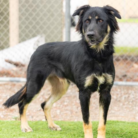 No Name - A883313