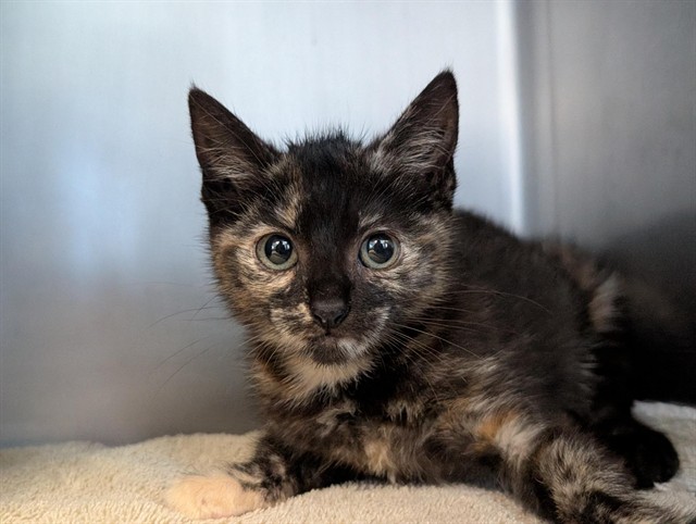 No Name - A883315