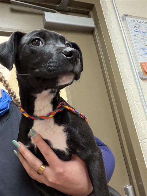 No Name - A883331