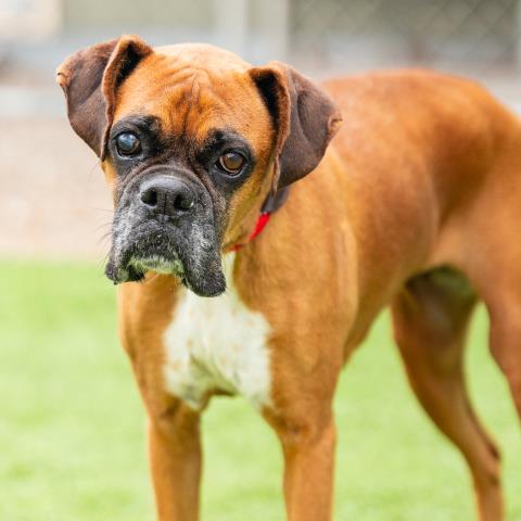 No Name - A883348