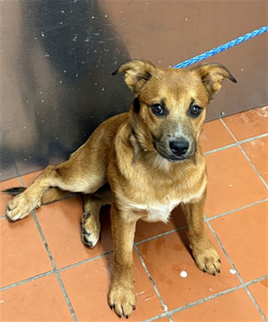 No Name - A883424