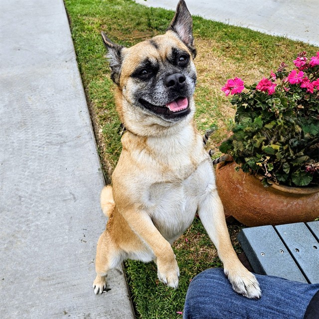 Max