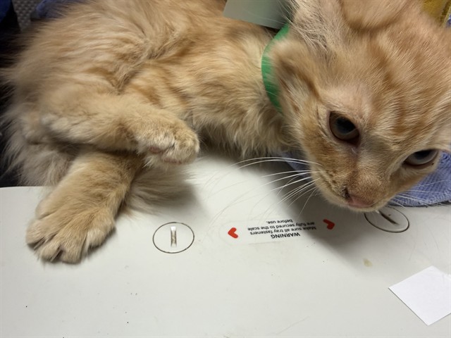 No Name - A884318